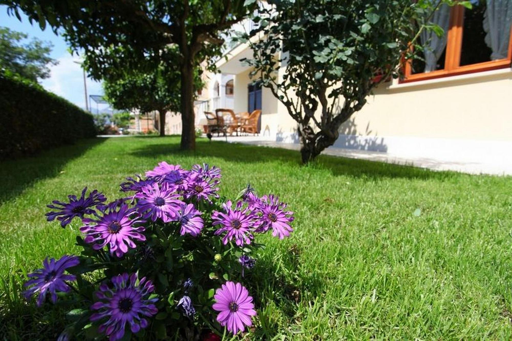 Antares Apartments Cavtat Luaran gambar