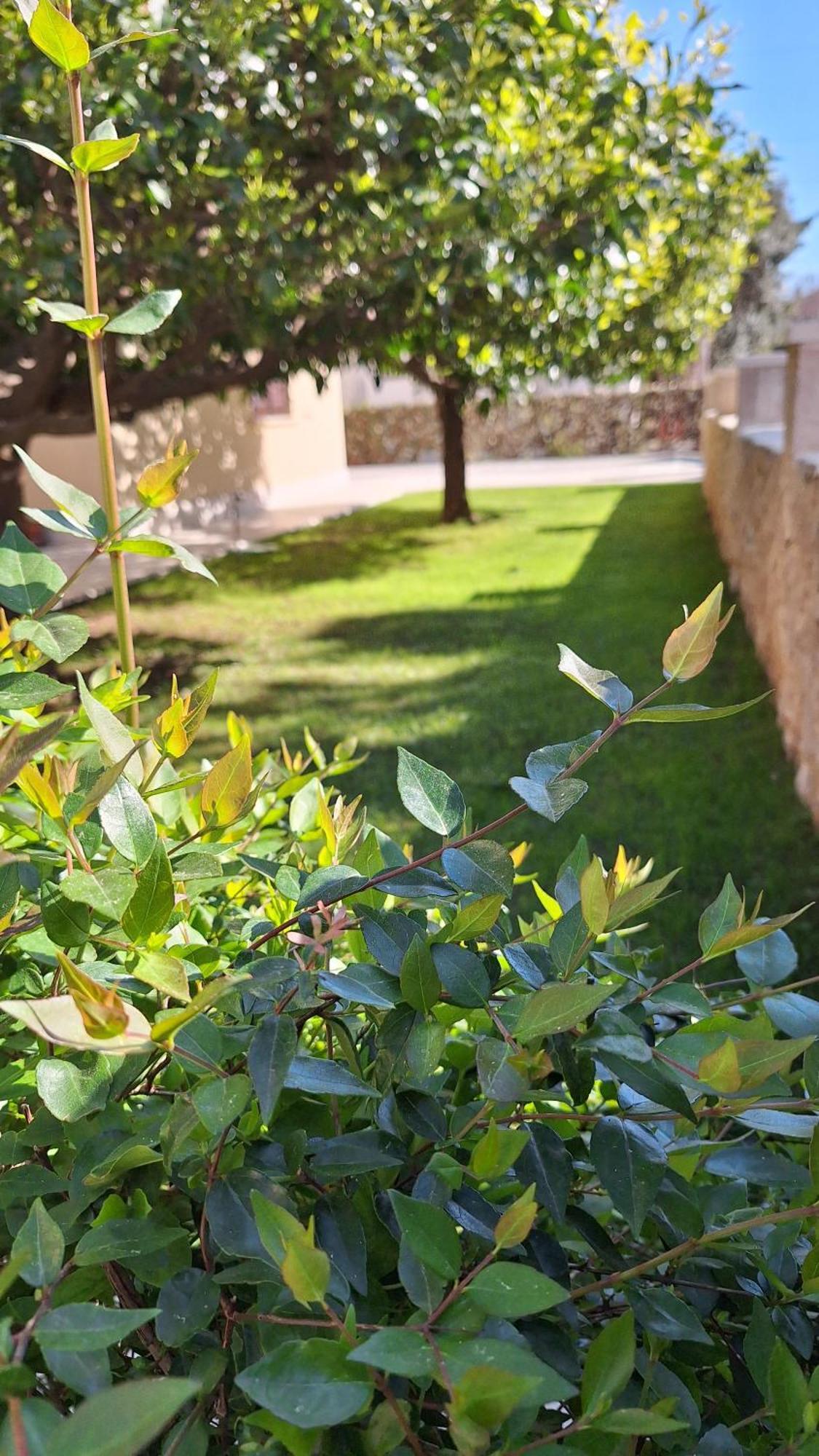 Antares Apartments Cavtat Luaran gambar