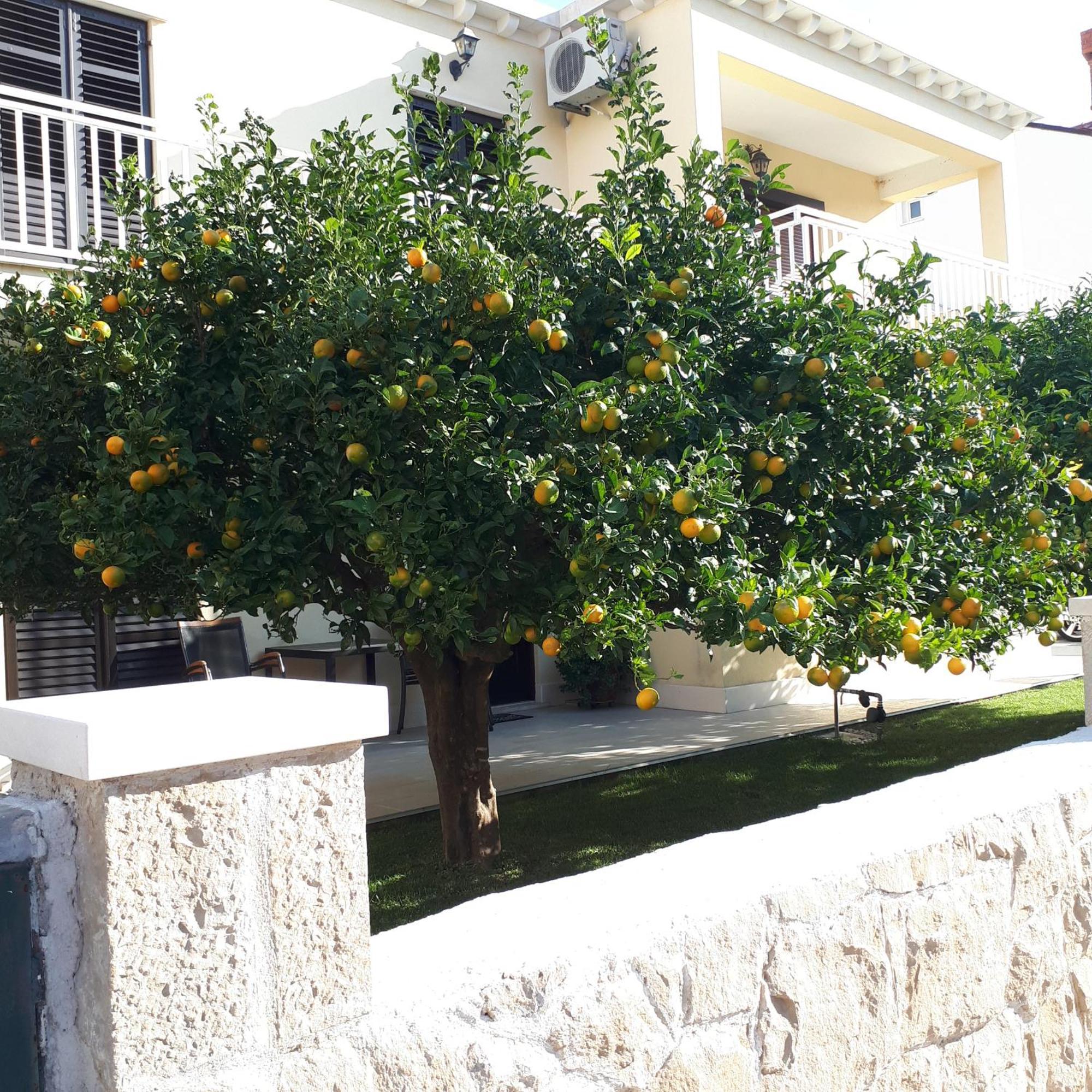 Antares Apartments Cavtat Luaran gambar