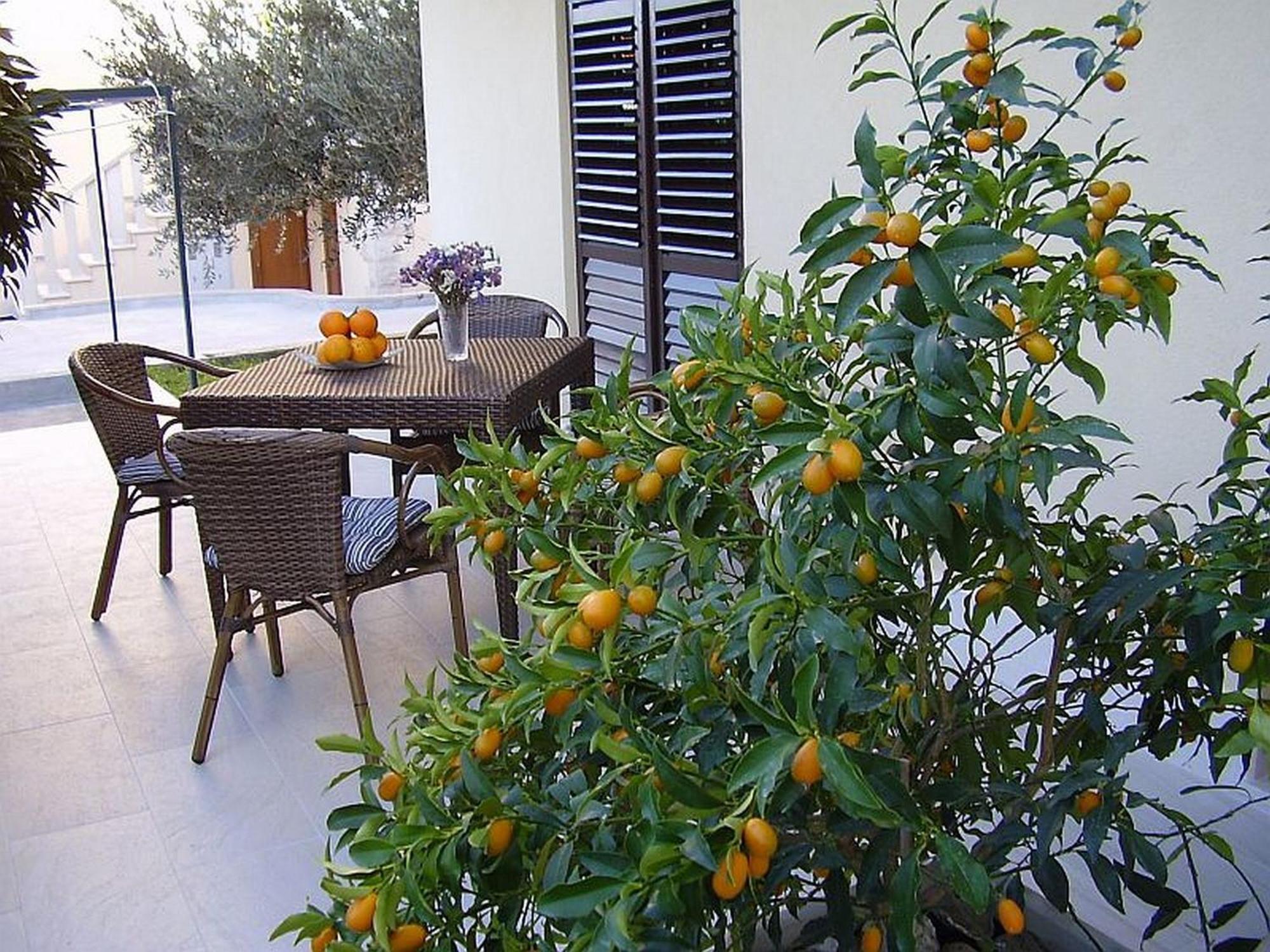 Antares Apartments Cavtat Luaran gambar